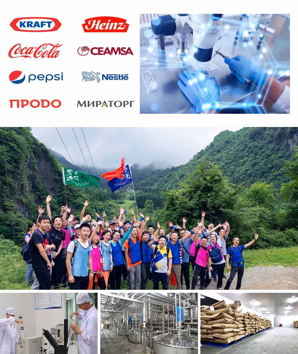 NutraNest Collagen Peptides & Gelatin Manufacturer