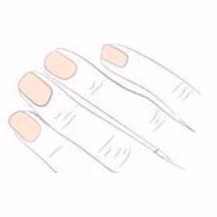 Fish Marine Hydrolyzed Collagen Peptides Protein for Nail