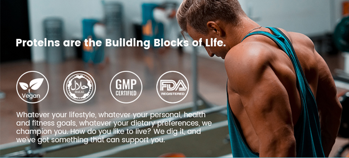 100 Raw Best Hydrolyzed Gold Standard Whey Protein Powder Isolate Concentrate for Weight Loss