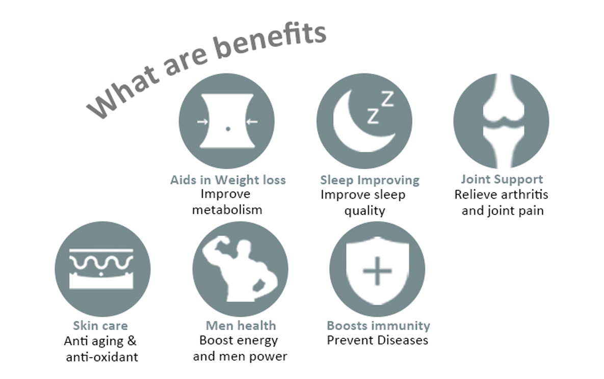 Gold Standard Whey Protein Powder Isolate Concentrate for Weight Loss